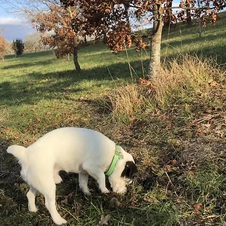 La Peyre Dom wakacyjny